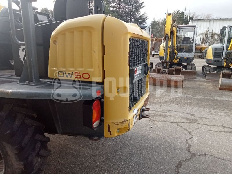 2018 واكر نيوسون DW50-47775618