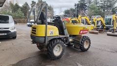 Wacker Neuson 1501.0 - Right Back - Gebrauchte Mini Dumper