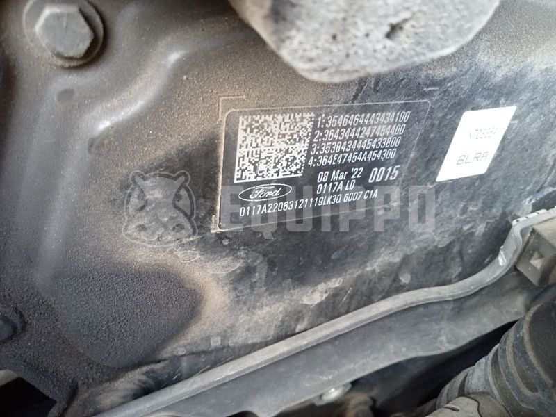 2023 Ford TRANSIT-48369824